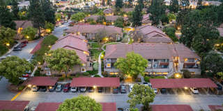 Citrus Place Gallery 71