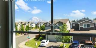 11557 174th Street East Gallery 29