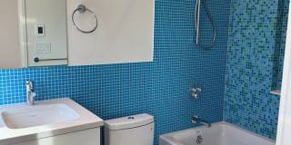 Silver Maple Stunning Gallery 20