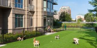 Harrison at Reston Town Center Gallery 40