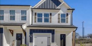 Neely Village Gallery 2