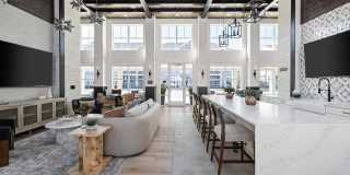 Standard441 Gallery 35