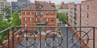 The Rodney Gallery 21