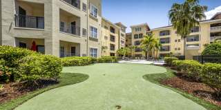 Casa Bella on Westshore Gallery 9