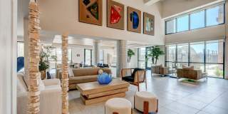 Encore NoVo Gallery 7