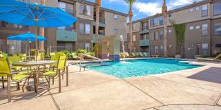 Monte Viejo Gallery 31