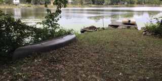 AVAILABLE NOW! Houston Lake Front Home! Gallery 1