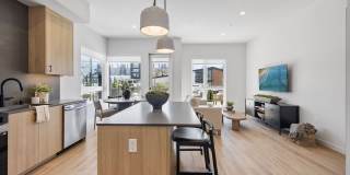 Haven + Arrow Gallery 49