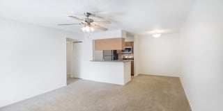 Lakewood Place Gallery 19