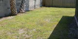 990 Butia Street Gallery 21