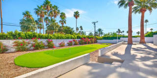 72996 Bursera Way Gallery 6
