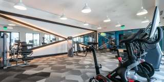 Tailor O4W Gallery 41