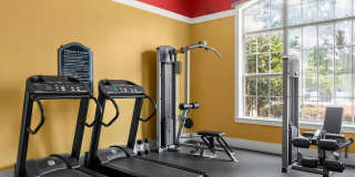 Creekside Vista Gallery 29