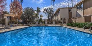 Sea Breeze Rental Townhomes Gallery 7