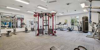 Lakeside Village Gallery 19