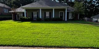 232 Boxwood Circle Brandon, MS Gallery 1