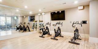 One 305 Central Gallery 22