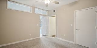 COLE COLE Gallery 41