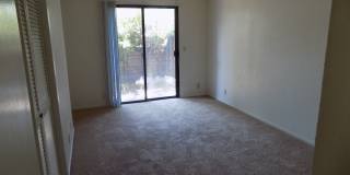 35 Stenner #I Gallery 19