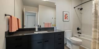 The Confidential Gallery 42