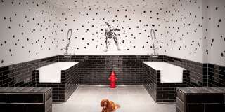 Maizon Durham Gallery 18