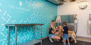 SoLe Mia Rentals Gallery 23