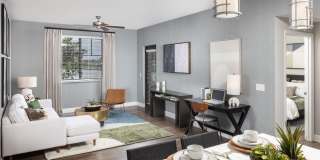Locklyn West Palm Gallery 7