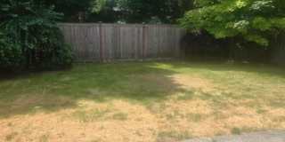 3bd/2.5ba Maple Valley Home Gallery 29