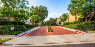 5937 Armaga Spring Gallery 1