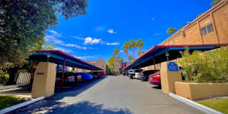 Maryland Park Gallery 21