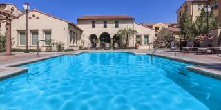 Paseos At Magnolia Luxury Apartment Homes Gallery 6