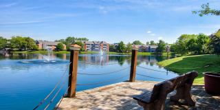 Lakeshore Apartments Gallery 59