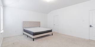 7019 CAPELLA CV Gallery 17