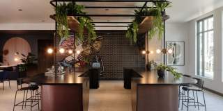 Astral & Revel by Alta Gallery 31