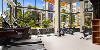 Cascara Apartments Gallery 67