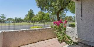 4444 E Paradise Valley Pkwy #129 Gallery 1