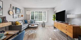 Glen Oaks Gallery 3