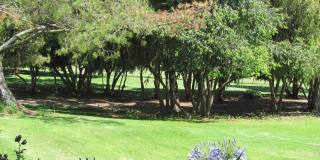 King Courts Condo! Backs to the Park! Blocks from Downtown SLO Gallery 16