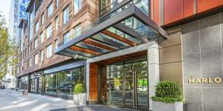 The Harlo Gallery 42