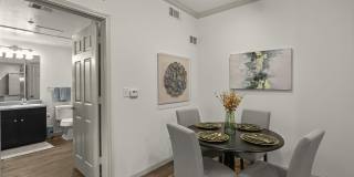 The Loop Gallery 7