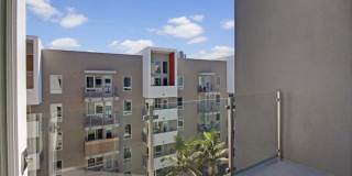 The Pacific Gallery 12