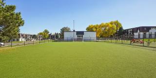Willowstone Gallery 15