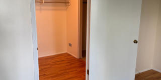 Park Manor Gallery 33
