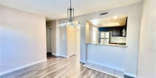 38 N Bonnie Gallery 11