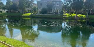 9013 Moonlit Meadows Loop Gallery 34