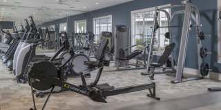 Place on Millenia Gallery 36