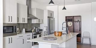 Starlight Gallery 26