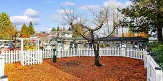 Meridian Garden Gallery 10