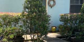2 Bedroom, 1 Bath -  Colonial Town Gallery 1