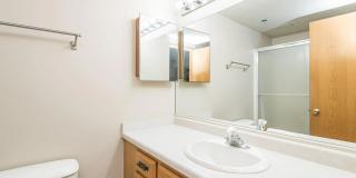 Condo for Rent Gallery 13